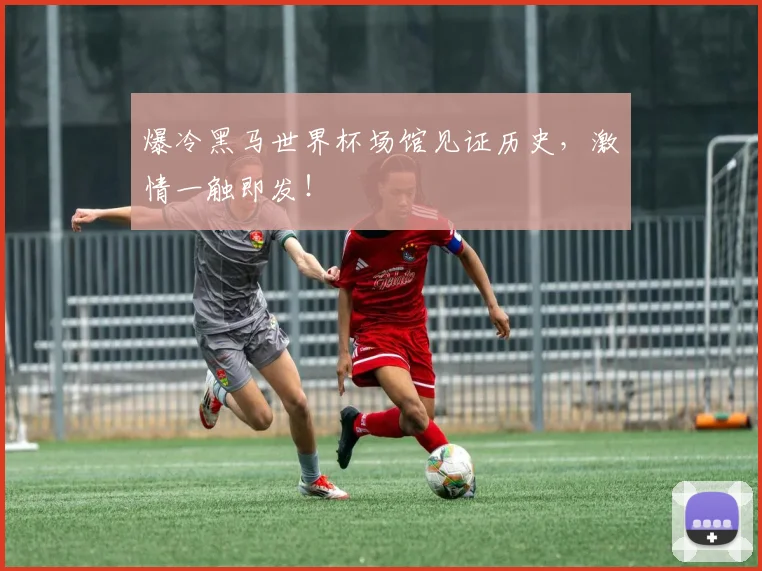 爆冷黑马世界杯场馆见证历史，激情一触即发！